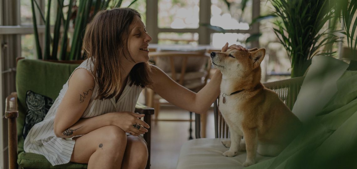 Understanding Pet Insurance: A Complete UK Guide