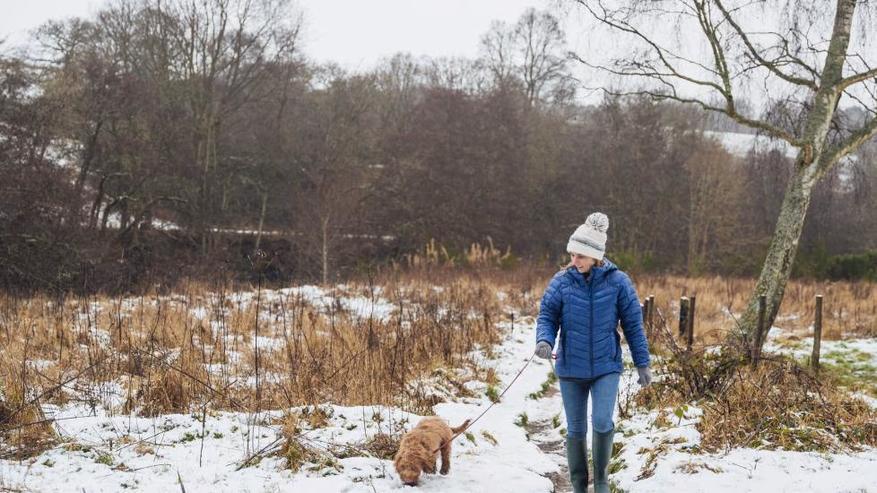Taking Care of Your Dog in the Colder Months: A Complete UK Guide