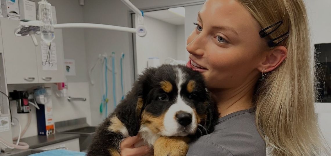 UK Veterinary Reforms Aim to Tackle Rising Costs of Pet Care
