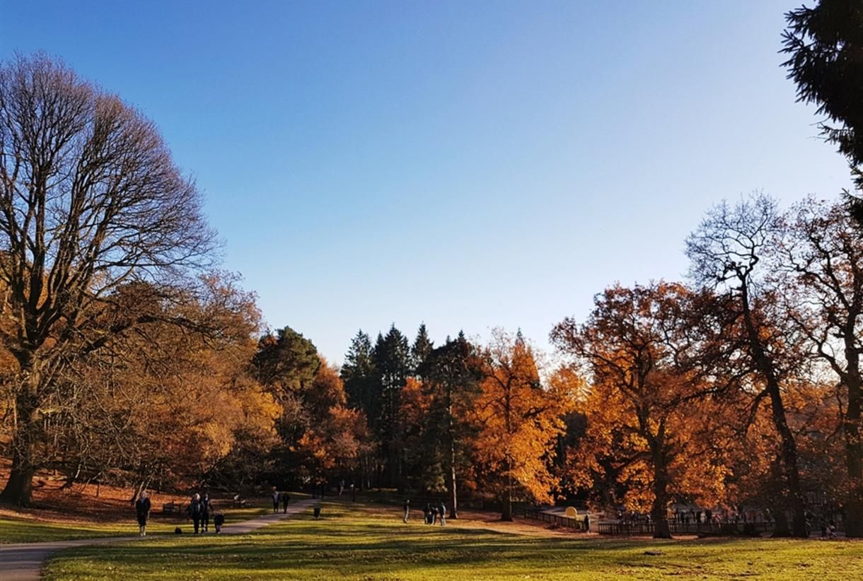 Lickey Hills Country Park