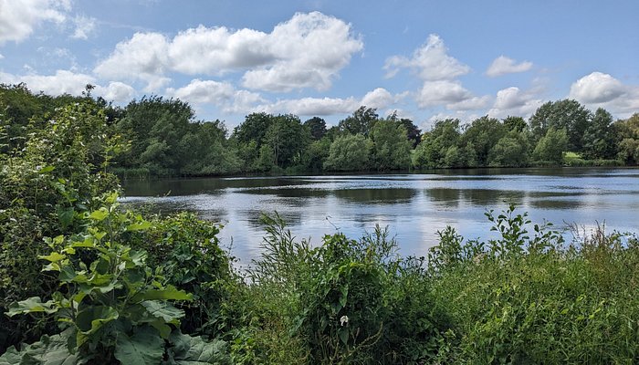 Mote Park