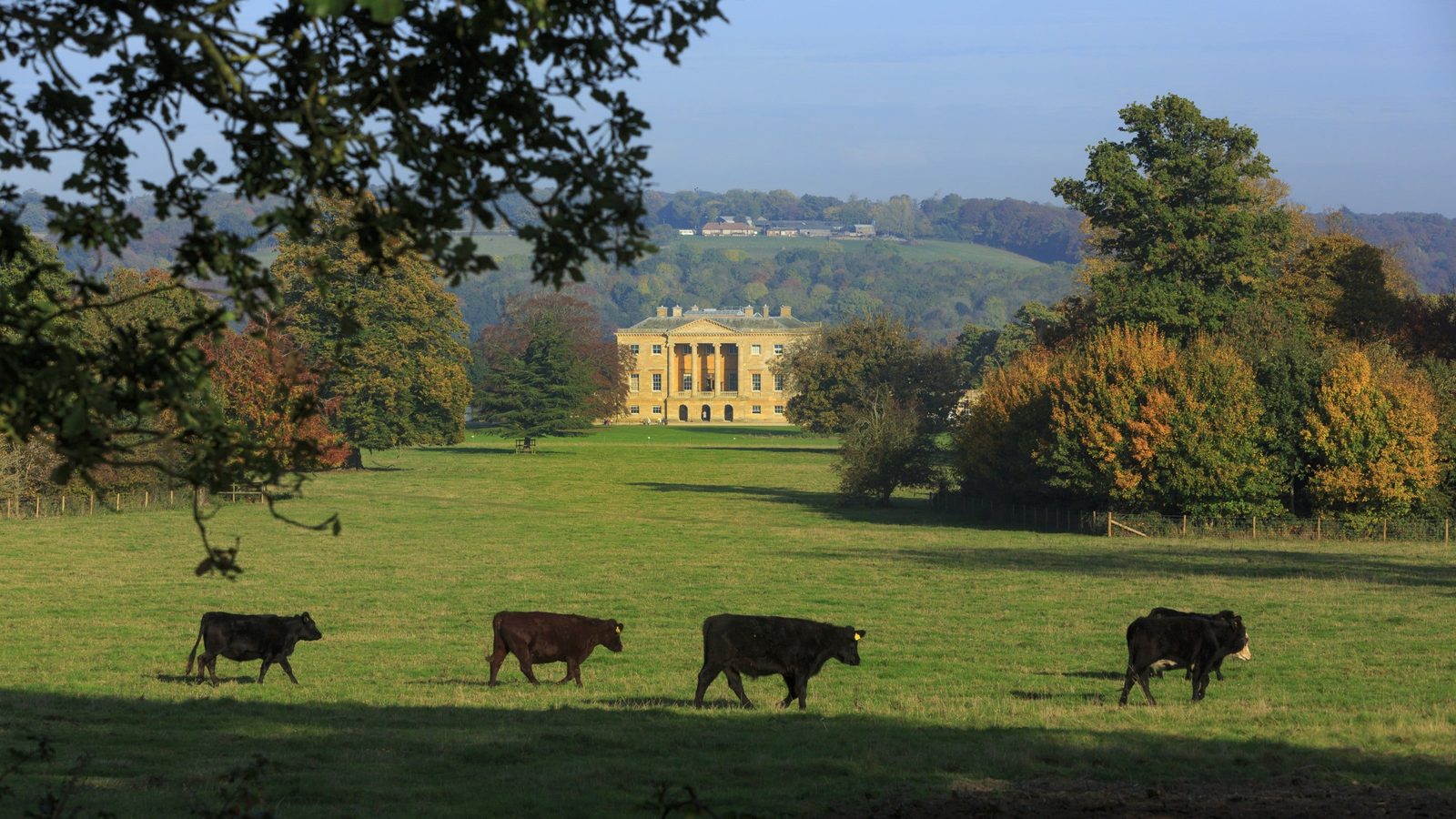 Basildon Park