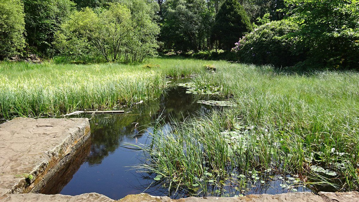 Mugdock Country Park