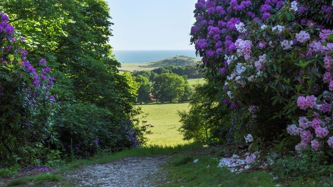Sheringham Park