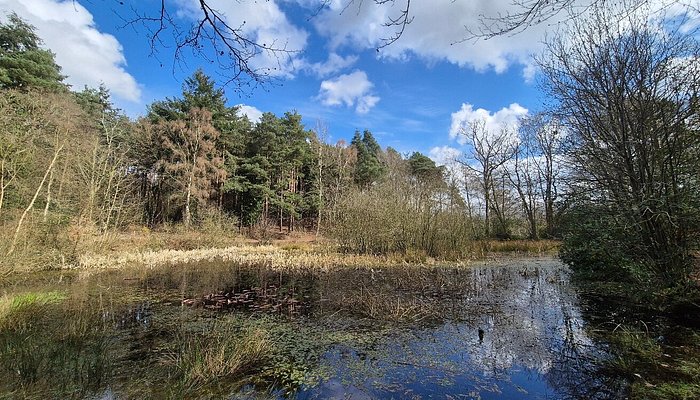Holt Country Park