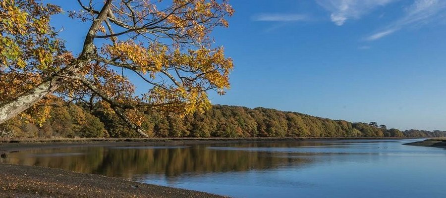 River Hamble Country Park