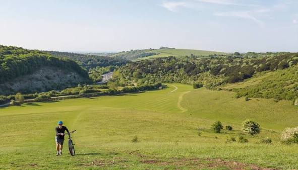 Queen Elizabeth Country Park