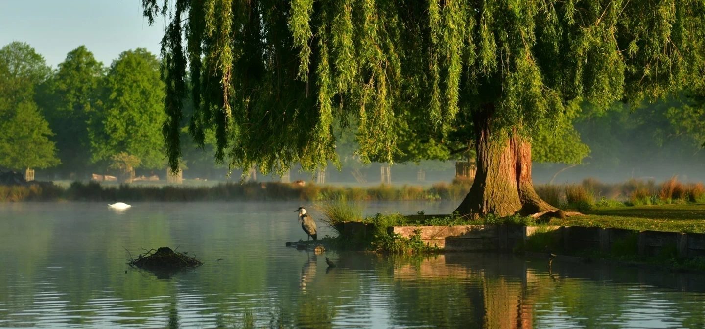 Bushy Park