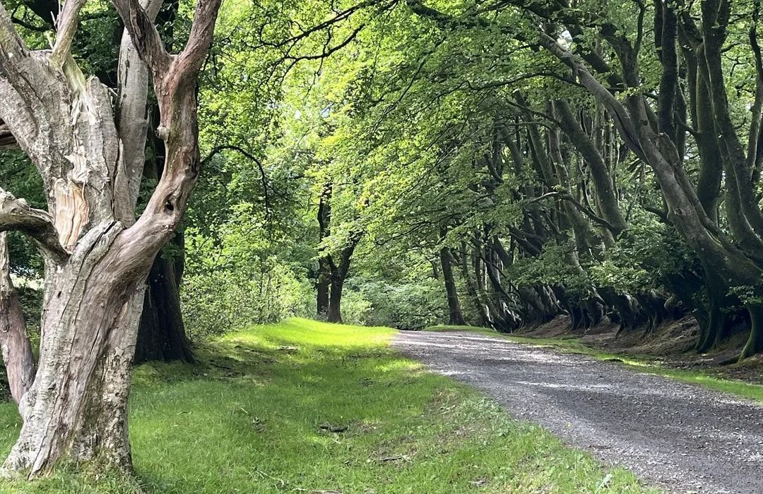 Quantock Hills