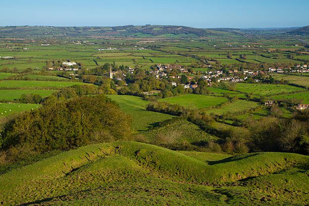 Brent Knoll