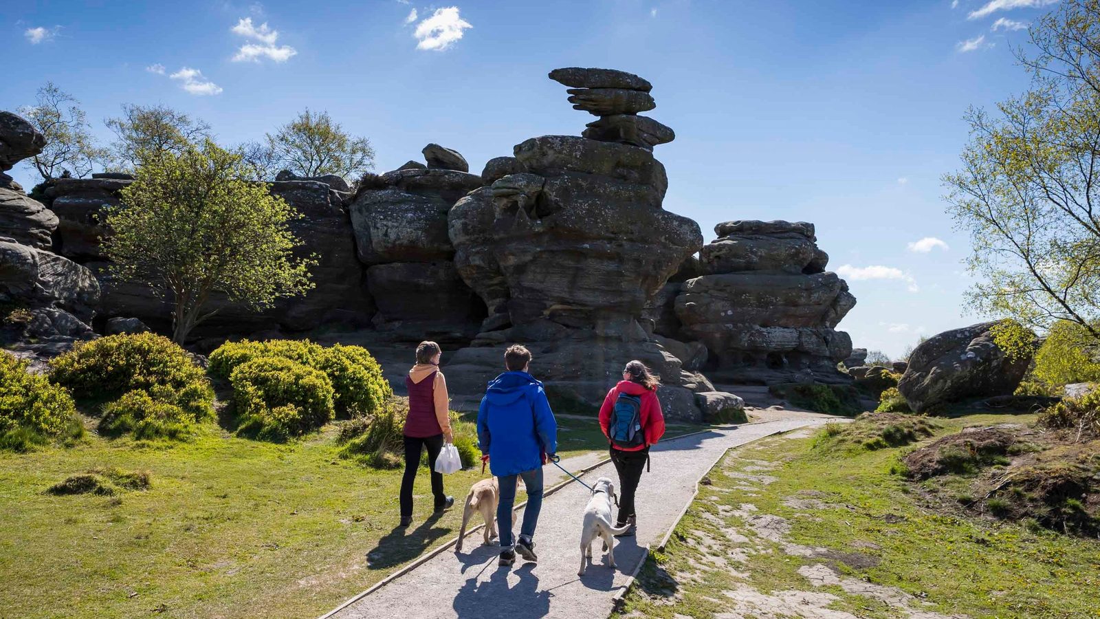 Brimham Rocks