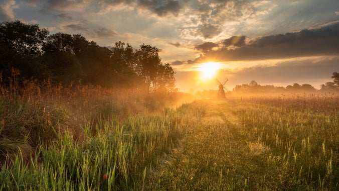 Wicken Fen