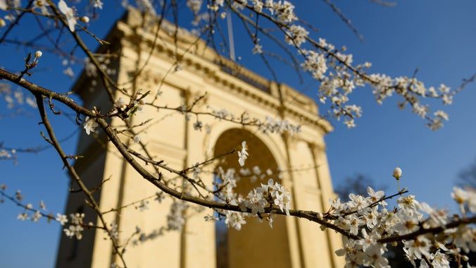 Stowe Gardens
