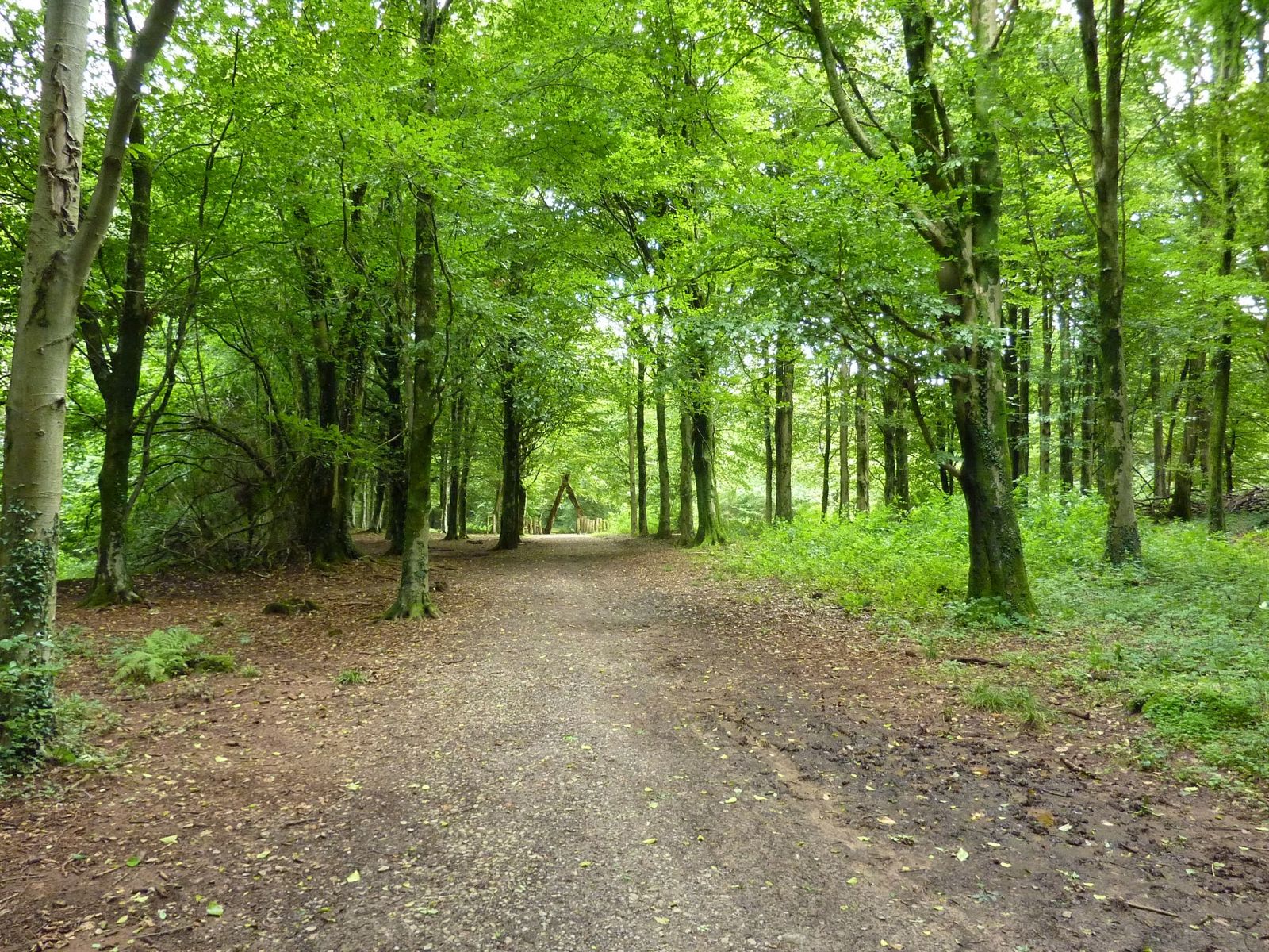 Castell Coch & Forest Fawr