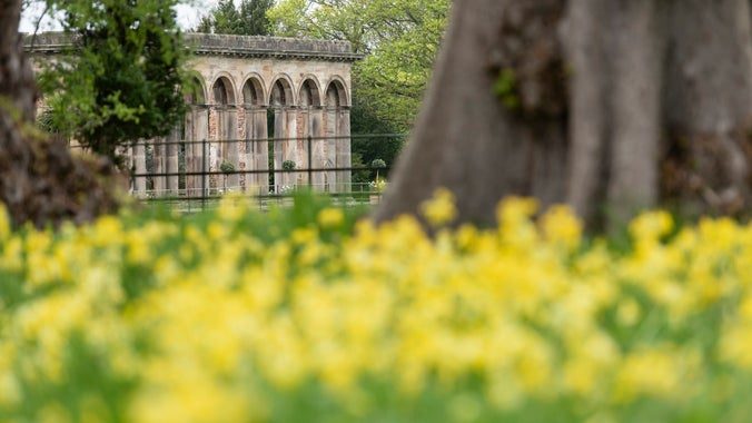 Gibside Estate