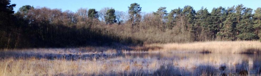 Englemere Pond