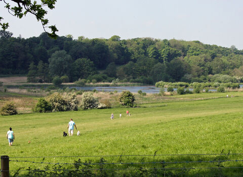 Panshanger Park