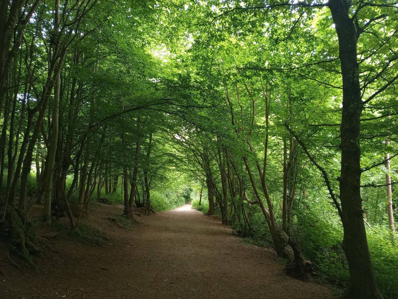 Trosley Country Park
