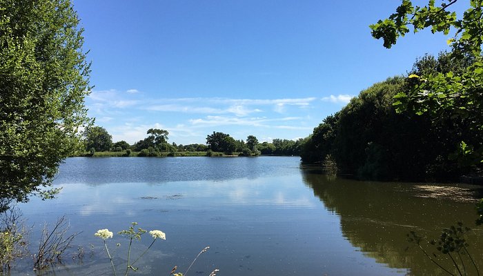 Dinton Pastures Country Park