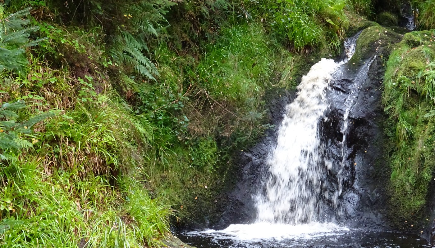 Gortin Glen Forest Park