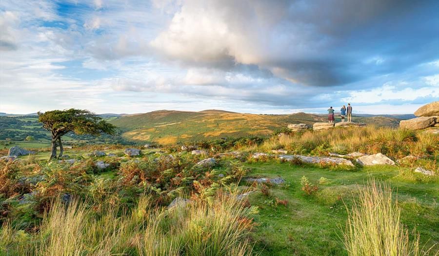 Dartmoor National Park
