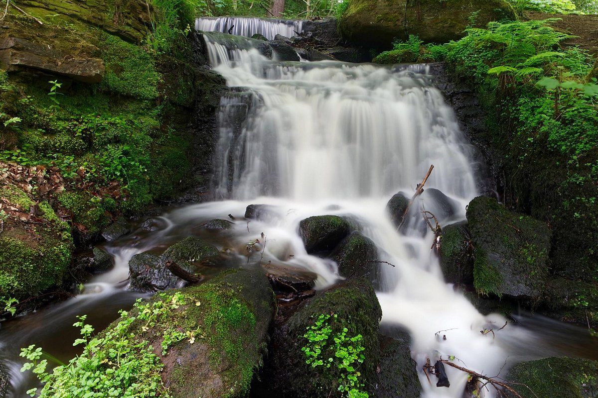 Rivelin Valley
