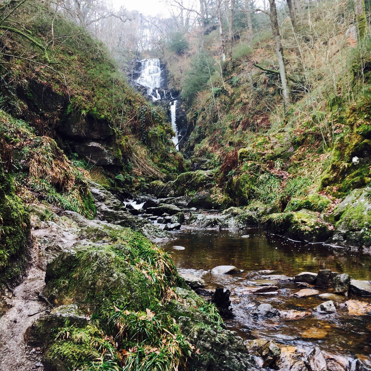 Aberfoyle & Queen Elizabeth Forest