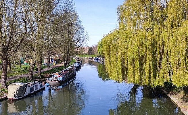 Jesus Green