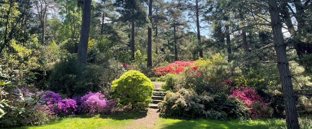 Bedgebury National Pinetum