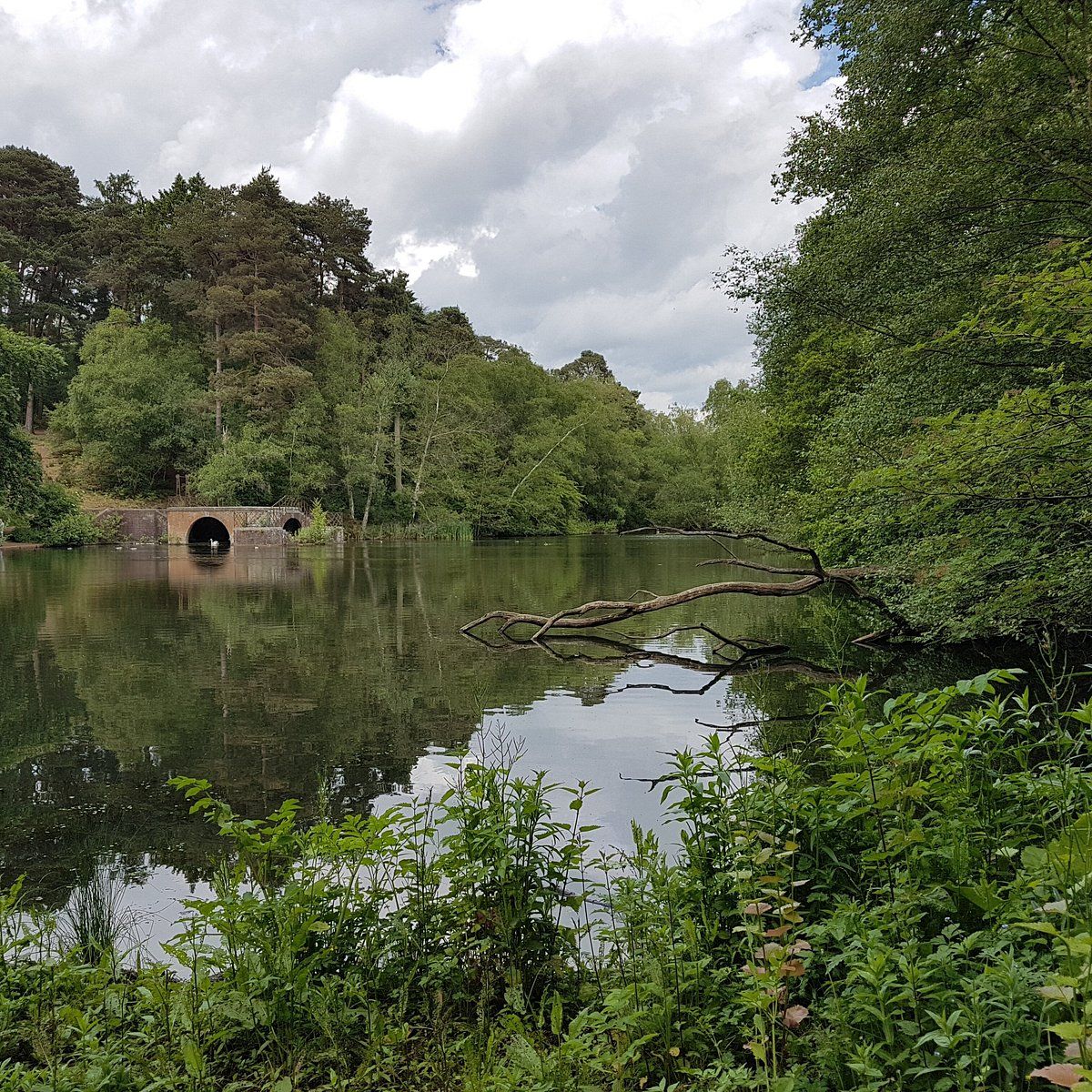 Rushmere Country Park