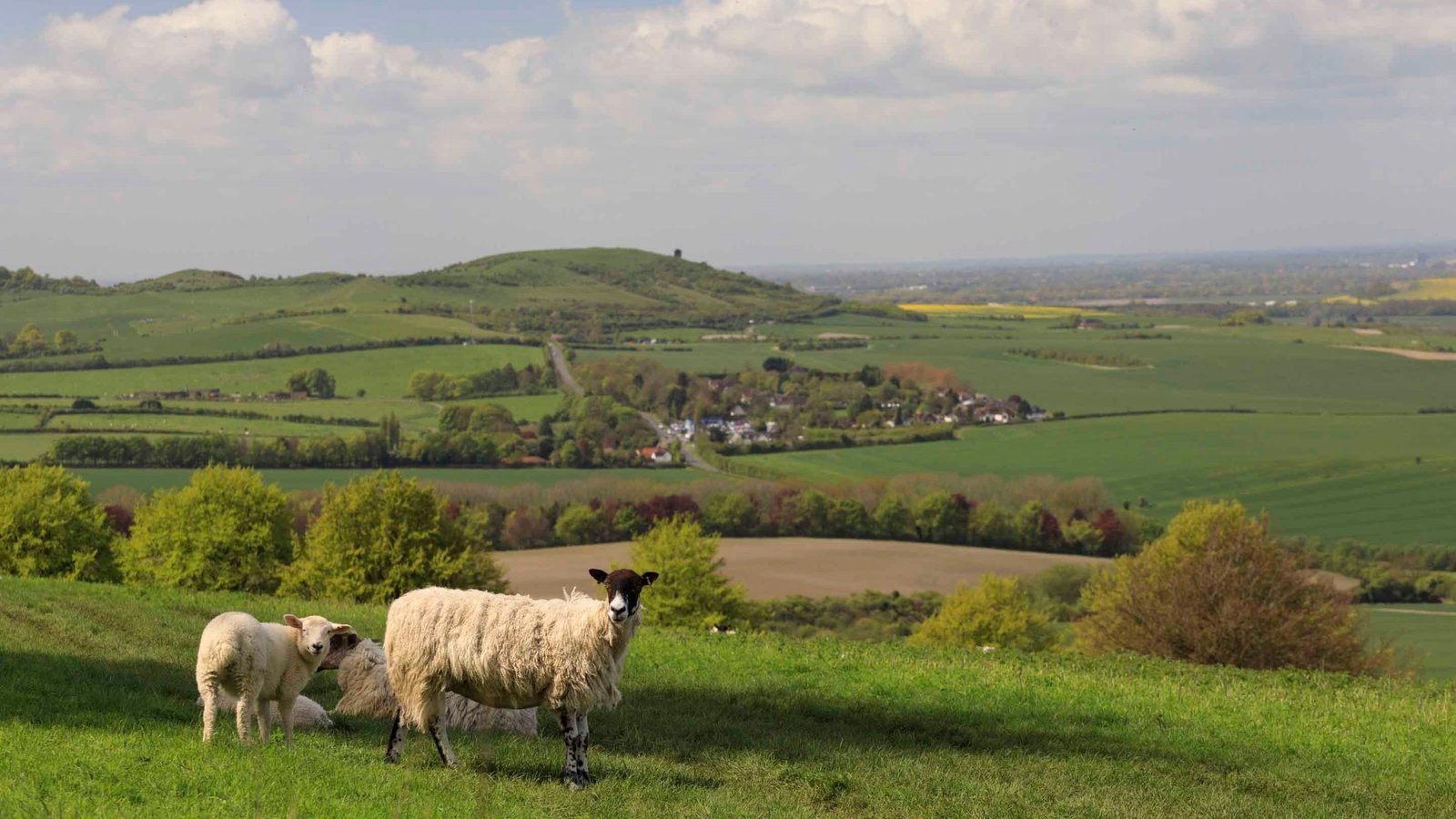 Dunstable Downs