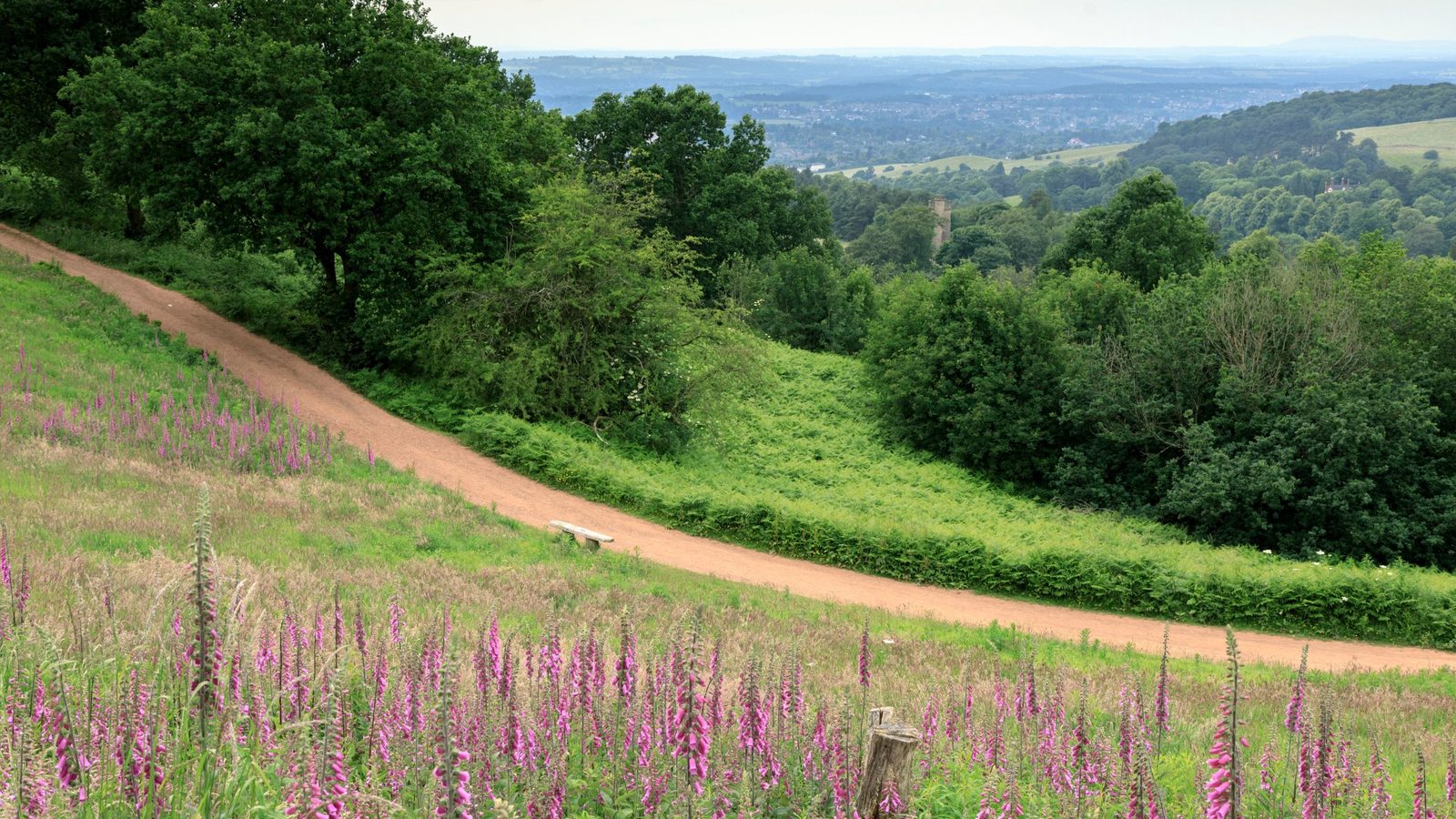 Clent Hills