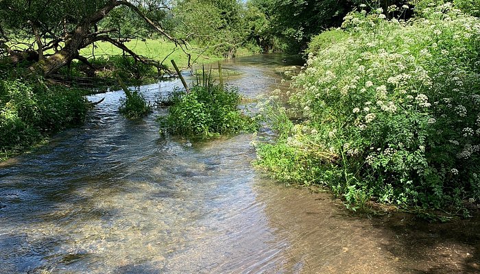 Meon Valley Trail