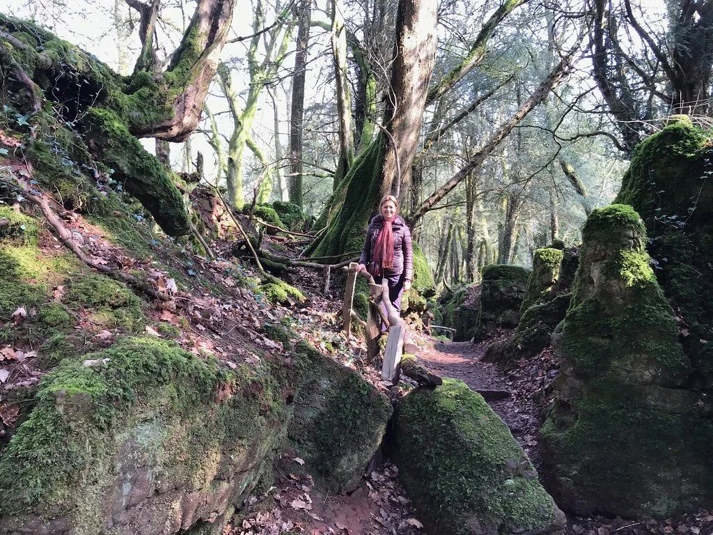 Forest of Dean