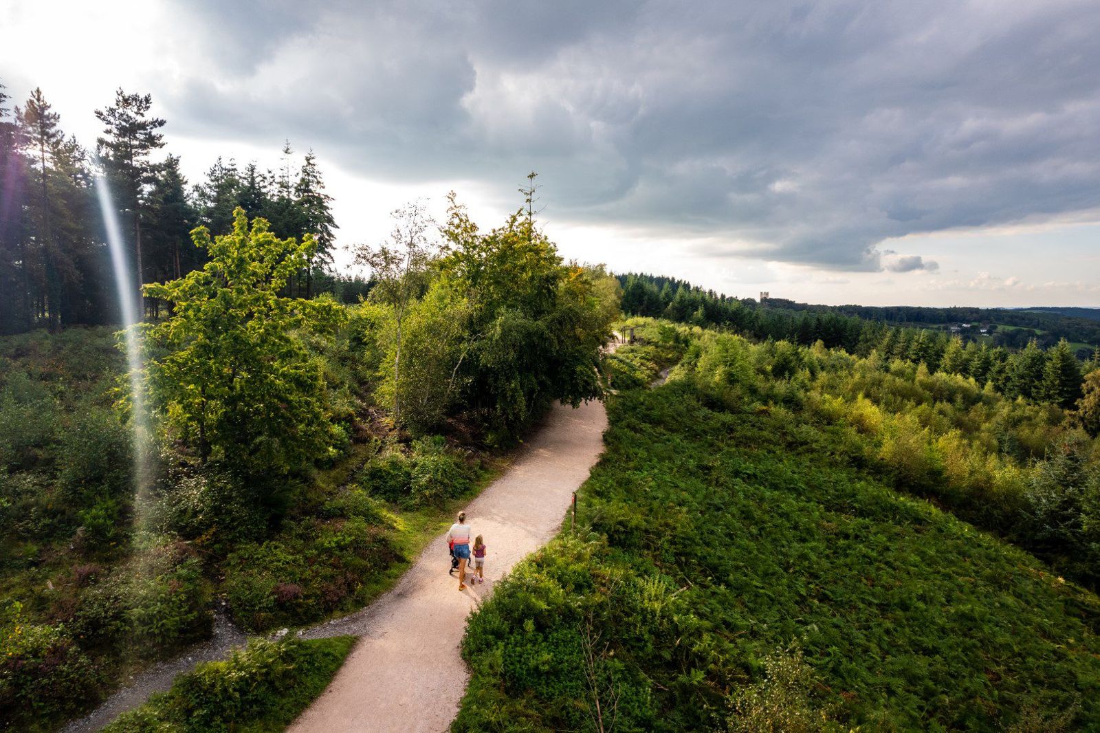 Haldon Forest Park