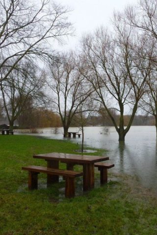 Ferry Meadows