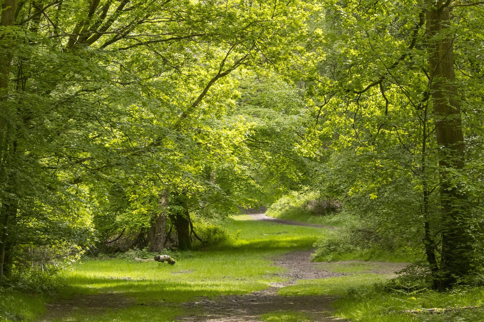 Ashridge Estate