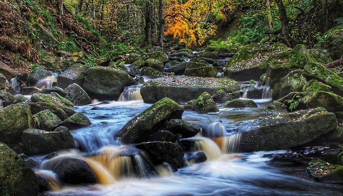 Padley Gorge