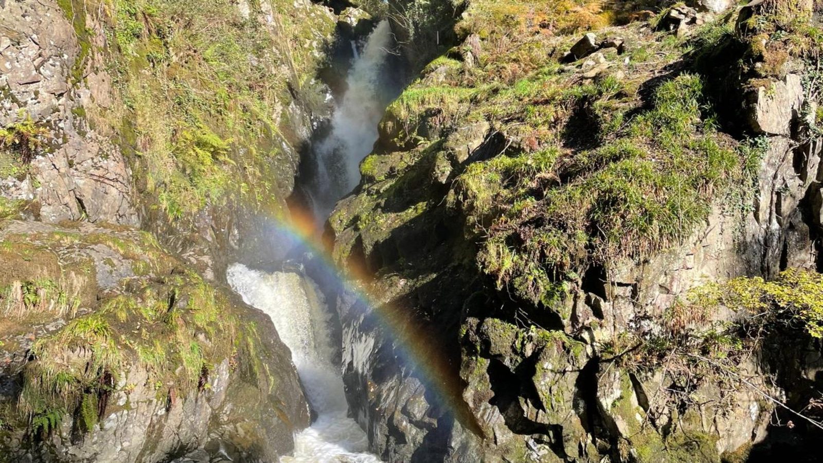 Aira Force