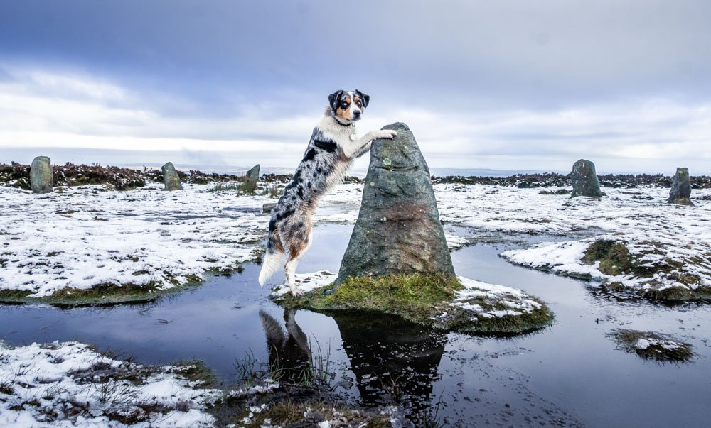 Ilkley Moor