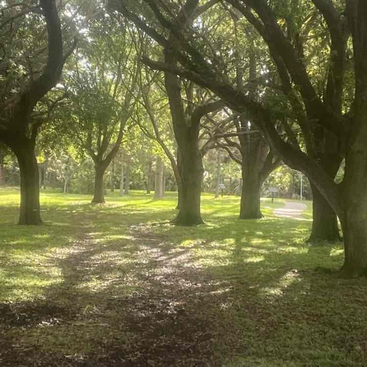 Barwick Park