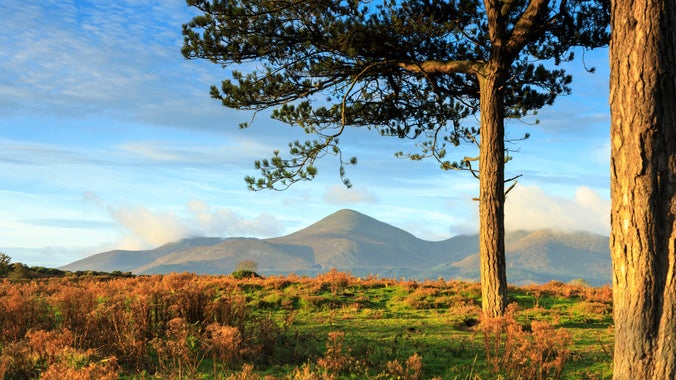 Murlough Nature Reserve