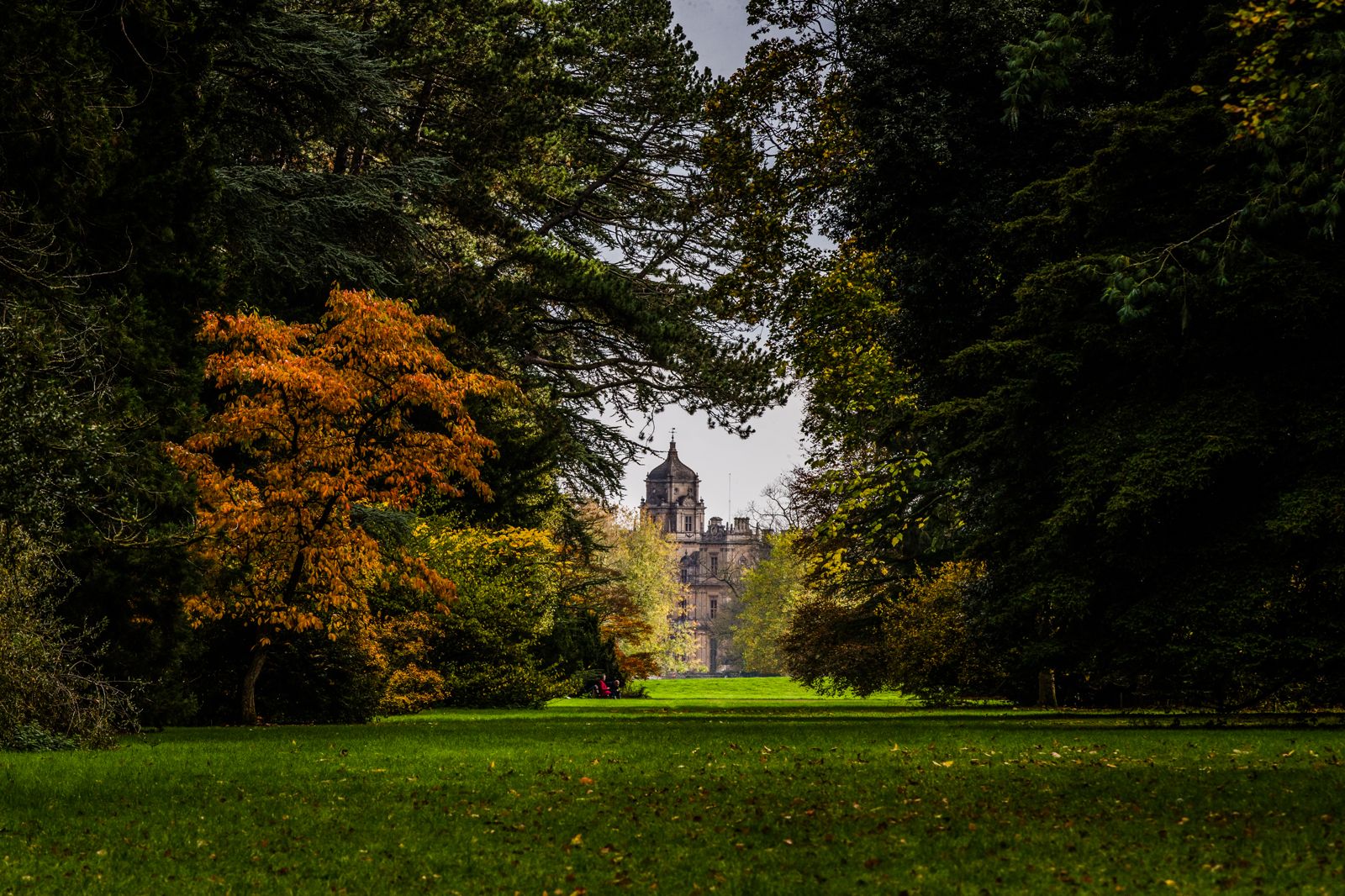 Westonbirt Arboretum
