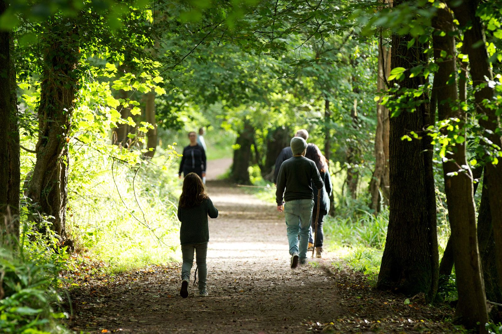 Salcey Forest