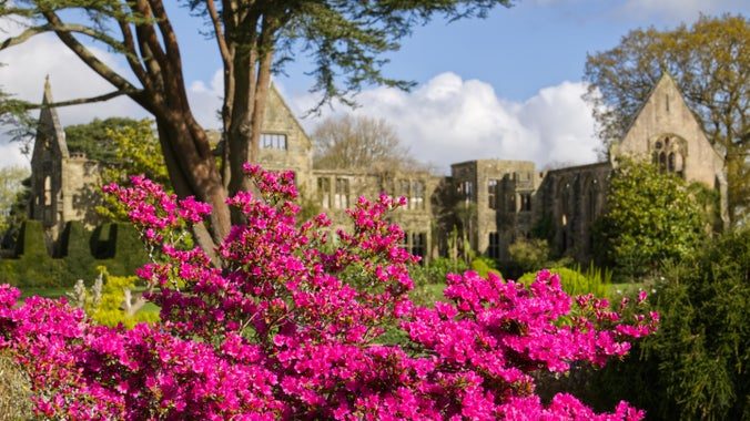 Nymans