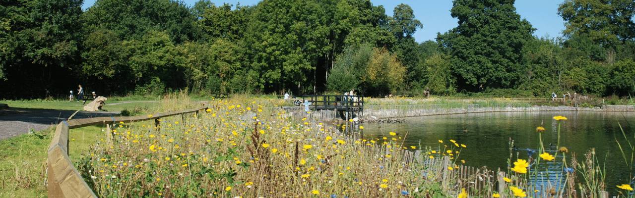 Haysden Country Park