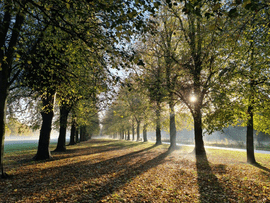 Marbury Country Park