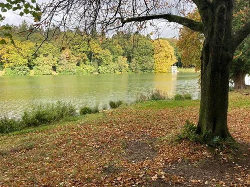 Longleat Forest