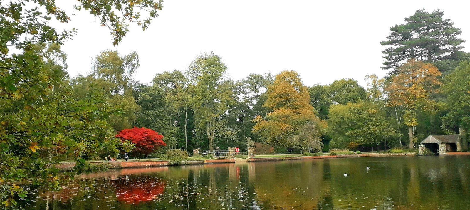 Buchan Country Park