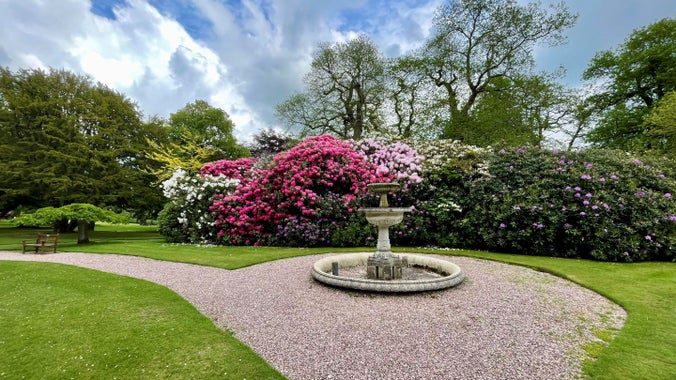 Tatton Park